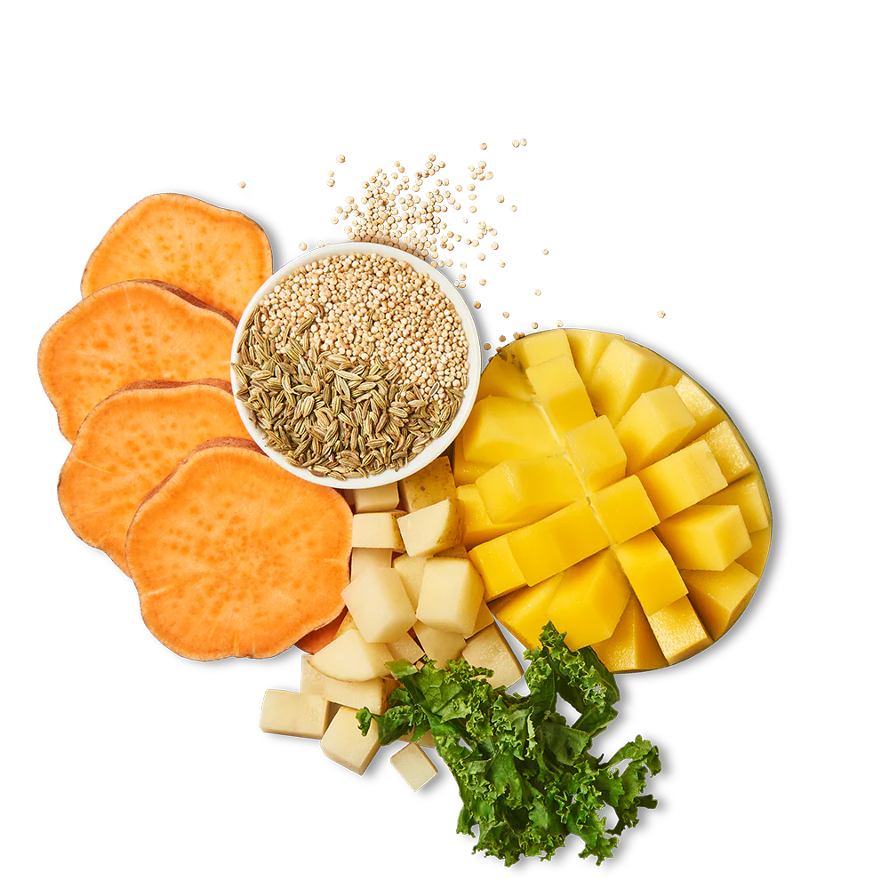 Tropical Mango Jerky (8 x 70g) - Image 2
