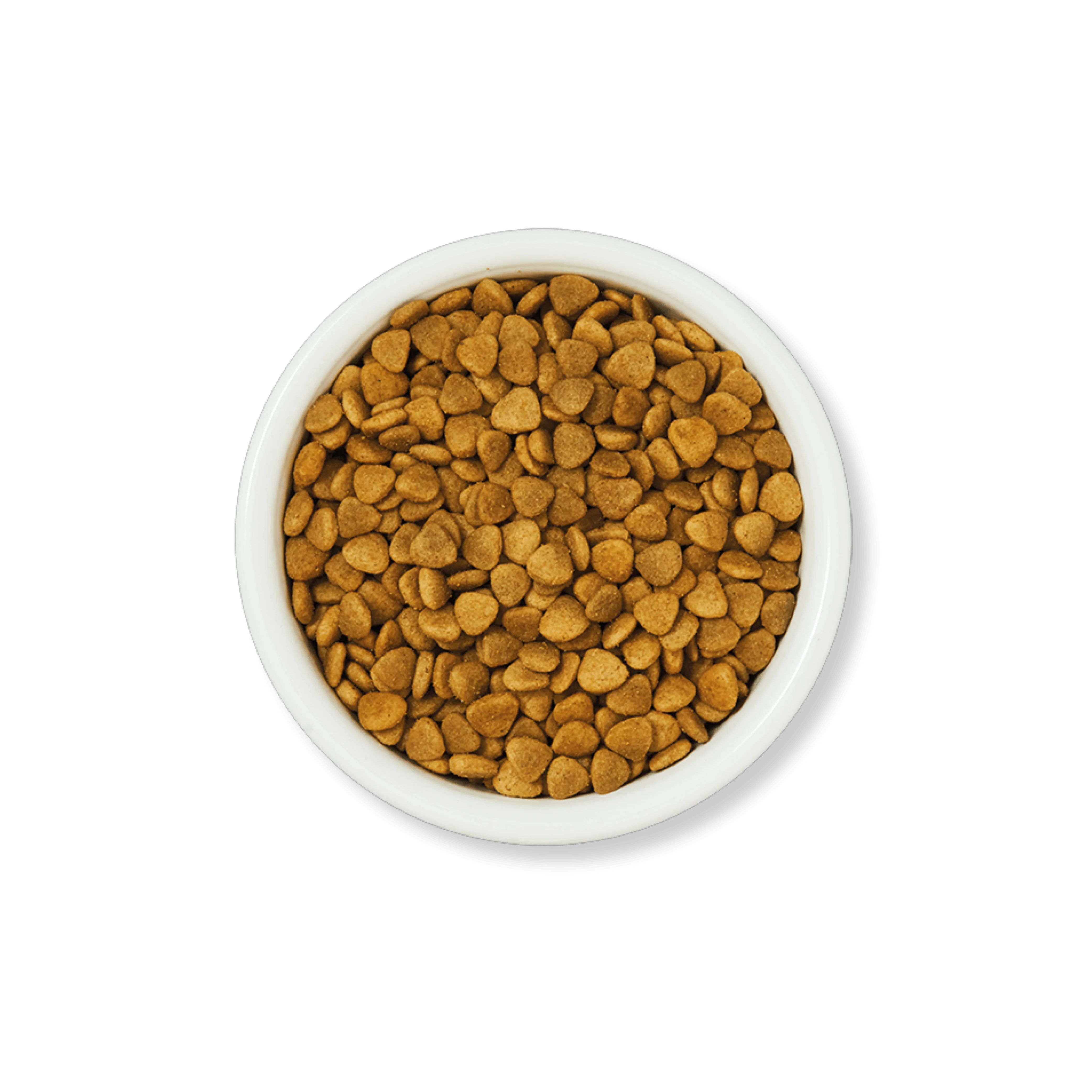 White Fish with Salmon Dry Food (800g) - Image 3